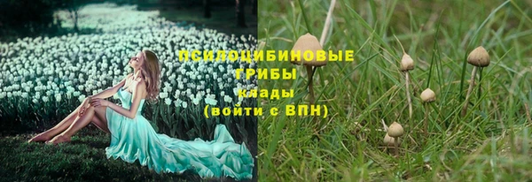 твердый Кукмор