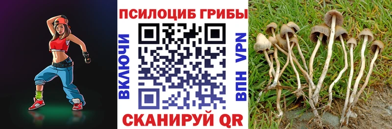 Купить где  Конаково  Галлюциногенные грибы GOLDEN TEACHER 