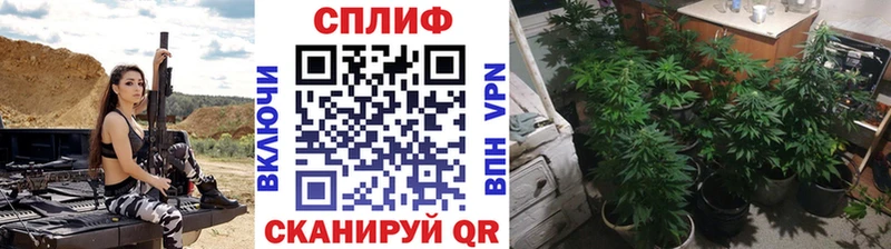 Конопля марихуана  Купить где  Конаково 